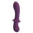 (image for) Fluid Curve G-Spot Vibrator