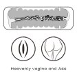 (image for) Virgin-skin Blowout Double Side Stroker Vagina and Ass
