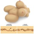 (image for) Lifelike Sex Doll - Streetgirl's #6