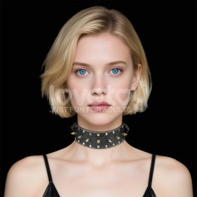 Vintage Riveted Collar