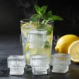 (image for) Skull Silicone Ice Tray