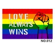 (image for) D700 Love & Peace Gay Pride Flag
