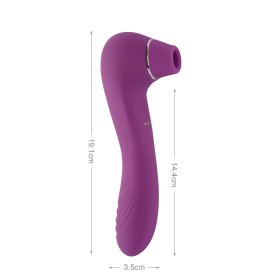 Pleasure Luxury Travel Double Ended Suction Vibrator
