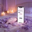(image for) Long Distance Couple Masturbator Set
