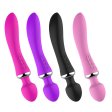 (image for) Double Head Heating Wand Vibrator