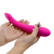 (image for) Double Head Massage Stick
