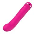 (image for) Nalone Yoni Double Head Vibrator