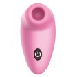 (image for) High Speeds Suction Vibrator