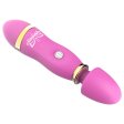 (image for) Cheap Wand Vibrator