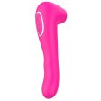 (image for) Double Head Suction Vibrator
