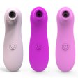 (image for) Suction Vibrator