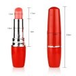 (image for) Lipstick Vibrator