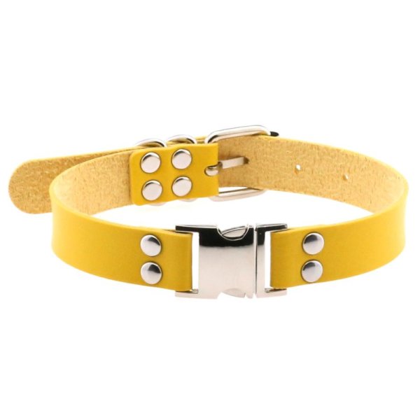 (image for) Magnetic Leather Collar