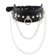 (image for) PU Leather Silver Nail Collar With Chain