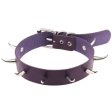 (image for) Spiked Rivet Leather Collar