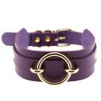 (image for) Golden O-Ring Punk Collar