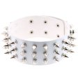 (image for) Three Row Tapered Studded Collar