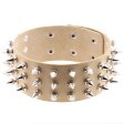 (image for) Three Row Tapered Studded Collar