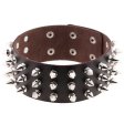 (image for) Three Row Tapered Studded Collar