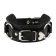 (image for) Pin Lock Love Collar