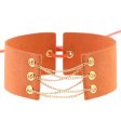 (image for) Coral Fleece Binding Collar - Golden