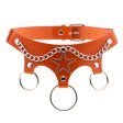 (image for) Five Star Chain Collar