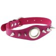(image for) Metal Ring Spikes Collar