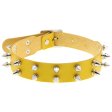 (image for) Double Row Spiked Rivet Leather Collar
