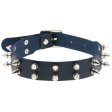 (image for) Double Row Spiked Rivet Leather Collar