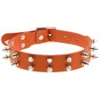 (image for) Double Row Spiked Rivet Leather Collar