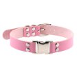 (image for) Magnetic Leather Collar