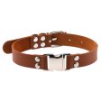 (image for) Magnetic Leather Collar