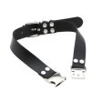 (image for) Magnetic Leather Collar
