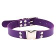 (image for) Magnetic Leather Collar