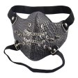 (image for) Shiny Snake Face Mask