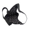(image for) Spike Alloy Decorative Punk Mask