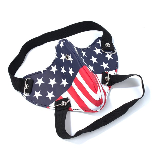 (image for) US Locomotive Mask