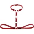 (image for) Waist Belt strap With Collar