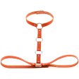 (image for) Waist Belt strap With Collar