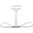 (image for) Waist Belt strap With Collar