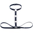 (image for) Waist Belt strap With Collar