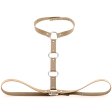 (image for) Waist Belt strap With Collar