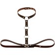 (image for) Waist Belt strap With Collar