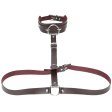 (image for) Waist Belt strap With O Ring Collar