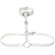 (image for) Waist Belt strap With O Ring Collar