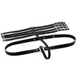 (image for) Erotic Bondage Collar Belt