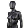 (image for) Chest Harness Y Shape