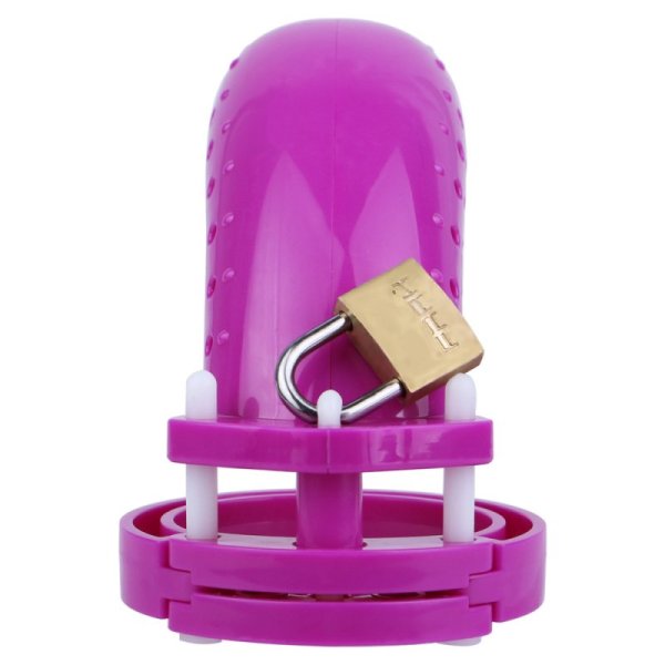 (image for) Perforated Plastic Cock Cage