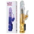 (image for) Dolphin Tail Jelly Vibrator