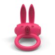 (image for) Rabbit Love Ring